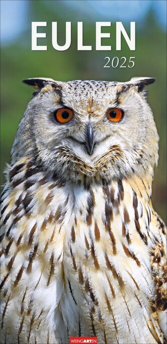 Eulen Kalender 2025 Eulen Kalender 2025