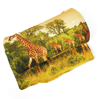 Deka Žirafy: 190x140 cm