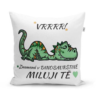 Polštář Dinosaurus: 40x40 cm