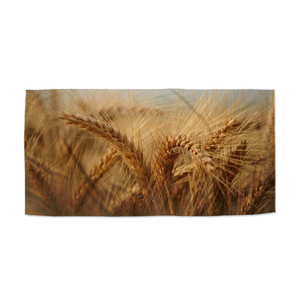 Ručník Klasy 2: 70x140 cm Ručník Klasy 2: 70x140 cm