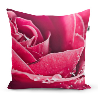 Polštář Detail růže: 50x50 cm