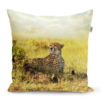 Polštář Gepard: 40x40 cm