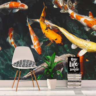 Tapeta Ryby: 208x125 cm