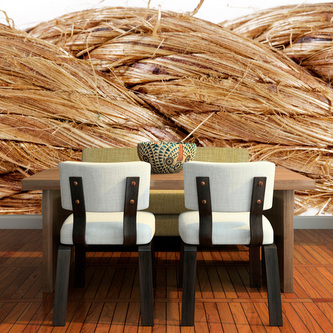 Tapeta Provaz: 336x220 cm