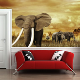 Tapeta Slon Africký: 208x125 cm