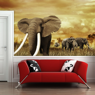 Tapeta Slon Africký: 208x125 cm Tapeta Slon Africký: 208x125 cm