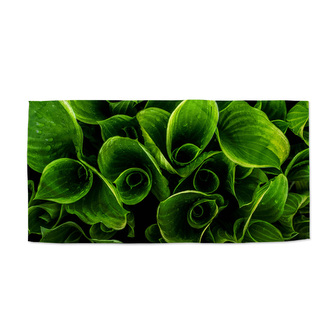 Ručník Zelené listy: 70x140 cm Ručník Zelené listy: 70x140 cm