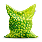 Sedací vak Detail květiny: 150x100 cm