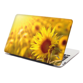Samolepka na notebook Slunečnice 3: 38x26 cm