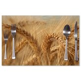 Prostírání Klasy 2: 40x30cm