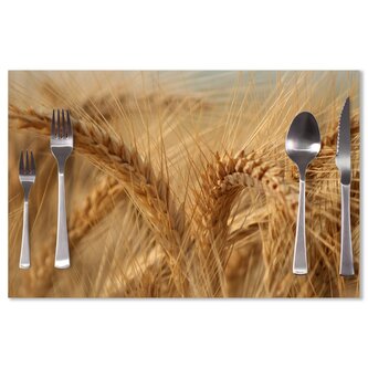 Prostírání Klasy 2: 40x30cm