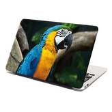 Samolepka na notebook Ara: 29x20 cm