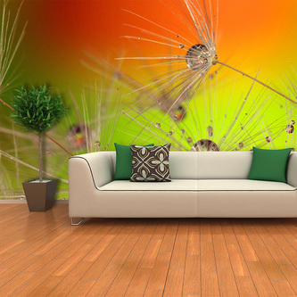 Tapeta Odkvetlé pampelišky: 336x220 cm