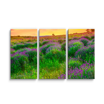 Obraz - 3-dílný Levandulové pole: 120x80 cm