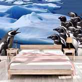 Tapeta Tučňáci: 336x220 cm