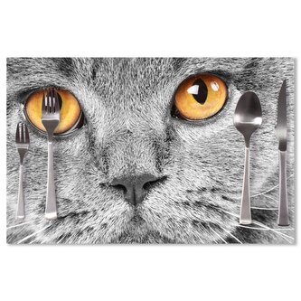 Prostírání Kočičí pohled: 40x30cm