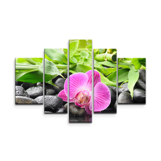 Obraz - 5-dílný Růžová orchidej: 125x90 cm