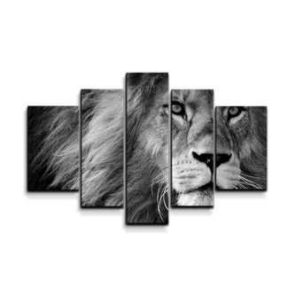 Obraz - 5-dílný Lev 2: 125x90 cm