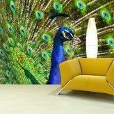 Tapeta Páv: 208x125 cm