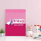 Dárková cedulka Vítej na světě 4: 30x40 cm