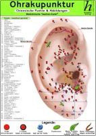Ohrakupunktur - chinesische Punkte & Abbildungen