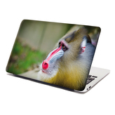 Samolepka na notebook Mandril: 29x20 cm