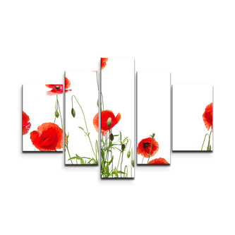 Obraz - 5-dílný Vlčí máky: 125x90 cm