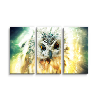 Obraz - 3-dílný Sova: 120x80 cm