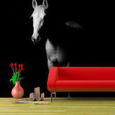 Tapeta Kůň ve stínu: 336x220 cm