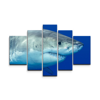 Obraz - 5-dílný Žralok: 125x90 cm