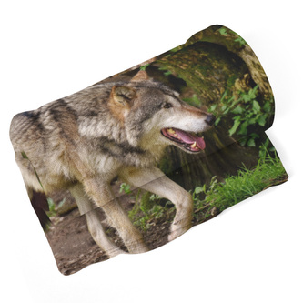 Deka Vlk: 150x120 cm