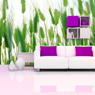 Tapeta Klasy: 336x220 cm