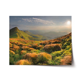 Plakát Travnatá krajina: 120x80 cm