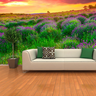 Tapeta Levandulové pole: 336x220 cm