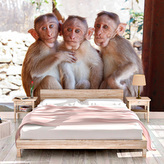 Tapeta Opičky: 125x75 cm