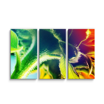 Obraz - 3-dílný Duhová květina: 120x80 cm