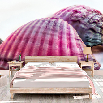 Tapeta Mušličky: 208x125 cm