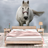 Tapeta Bílý kůň 3: 336x220 cm