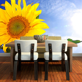 Tapeta Slunečnice 2: 125x75 cm