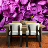 Tapeta Fialové květy: 336x220 cm
