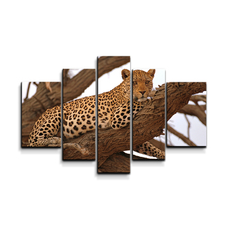 Obraz - 5-dílný Levhart 2: 125x90 cm