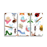 Obraz - 3-dílný Hmyz: 120x80 cm