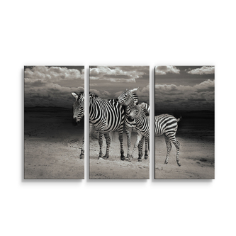 Obraz - 3-dílný Zebry: 120x80 cm