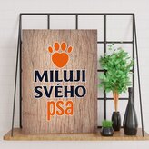 Dárková cedulka Miluji svého psa: 30x40 cm