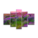 Obraz - 5-dílný Levandulové pole 2: 125x90 cm