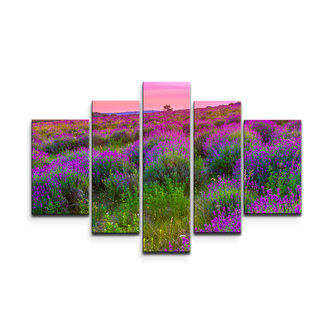 Obraz - 5-dílný Levandulové pole 2: 125x90 cm