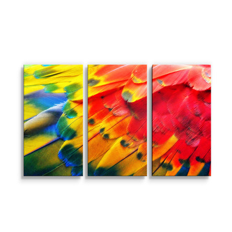 Obraz - 3-dílný Barevné peří 2: 120x80 cm