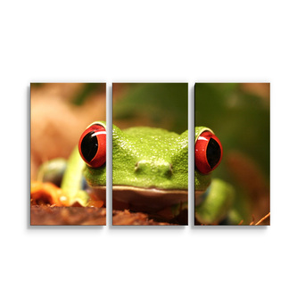 Obraz - 3-dílný Zelená žába: 120x80 cm