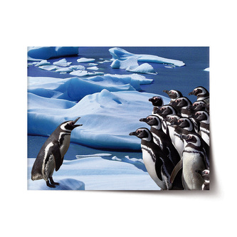 Plakát Tučňáci: 120x80 cm