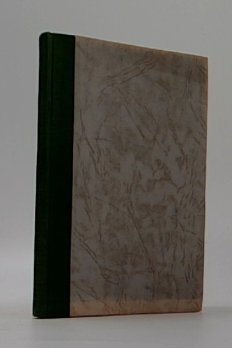 Píseň bohatýrská báseň ironická